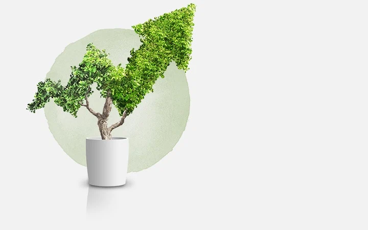 In Sachwerte investieren: Bild zeigt eine Pflanze mit die mit Ihren grünen Blättern eine Art Pfeil nach oben darstellt.